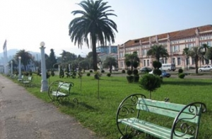 Саудовская Аравия [подарила Грузии 10 тысяч пальм]