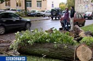 [В Санкт-Петербурге тоже] прошел шторм