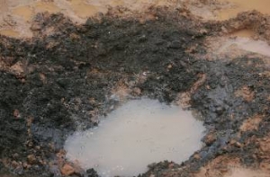 Землю «под метеориты» [предлагают снять за 2-3 тысячи латов]