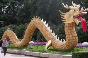 200 пожилых китайцев [пытаются доказать, что они живы]