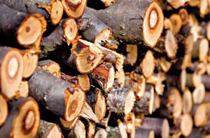СГД продолжает [требовать 21% НДС на дрова]