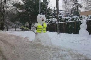 Дорожная полиция [работает в усиленном режиме]