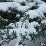 Мороз в Даугавпилсе достиг – 32 градусов