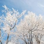 Самая холодная [ночь была в Зосены и Елгаве]