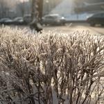 Самая холодная ночь была в Алуксне