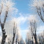 Палаточный городок замерзнуть не боится