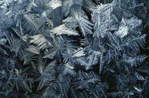 Синоптики: [Оттепель задерживается]