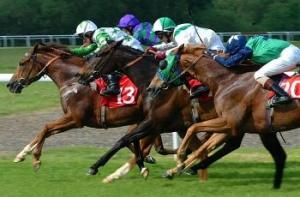 За [угрозы в адрес лошади] британца посадили