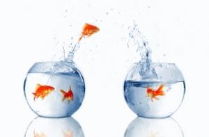 Иммигрантам упростят жизнь