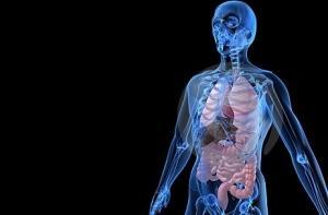 Британские ученые знают, [на чем можно заработать]