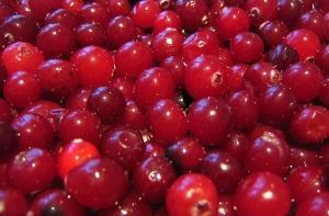 82% [жителей делают заготовки] на зиму