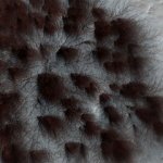 В марте в России [сымитируют полет на Марс]