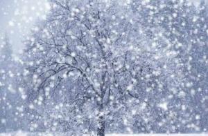 В Руйене [мороз достиг -20 градусов]