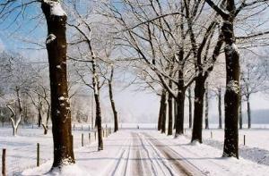 Условия передвижения по главным дорогам [удовлетворительные]