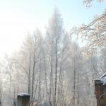 Январь [будет холодным и снежным]