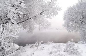 Cнегопад парализовал жизнь в Вашингтоне