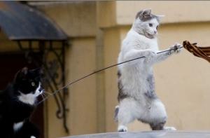 Виновные в публикации «списка оккупантов» не найдены