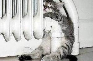 Половина жителей озабочена расходами на отопление