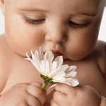 Девочке из Baby box сегодня дадут имя