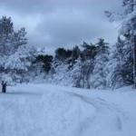 На Колке дороги расчищают уже за счет летнего финансирования