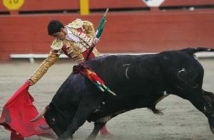 Испанский матадор победил в бою с шестью быками