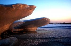 От Антарктиды откололся огромный айсберг