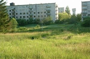 В Скрунде хотят выращивать свиней