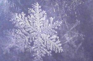 В Ванкувере пошел долгожданный снег