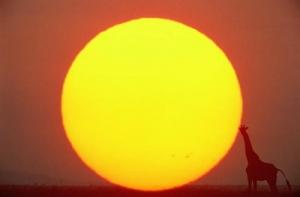 Солнце установило 5-летний рекорд активности