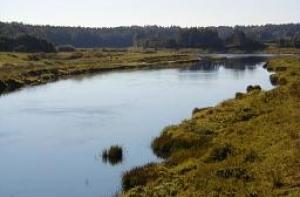 Наводнение в этом году грозит также Венте