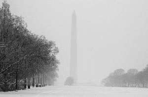 Вашингтон занесло снегом