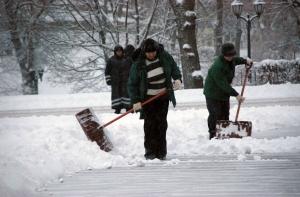 За 2 месяца из Риги вывезли более 109 тысяч кубометров снега