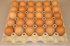 Латвийцы станут чаще есть яйца