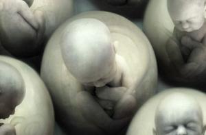 Россиянам запретили иметь клонов