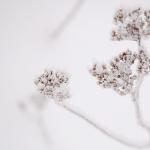 В Латвию к 8 марта вернулись сильные морозы