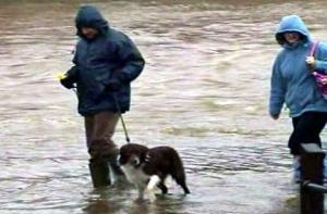 Пенцис: оттепель пока наводнения не вызвала