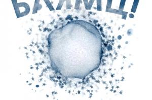 Удар в голову снежком получил премьер-министр Румынии