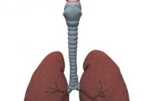 Десятилетний британец вырастит новую трахею у себя в груди