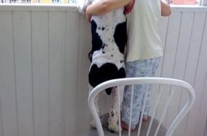 США хотят и дальше усыновлять российских детей