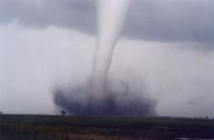 Число погибших из-за торнадо в Миссисипи достигло десяти