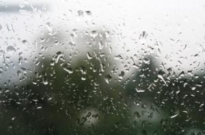 В Латвии будет сыро и ветрено