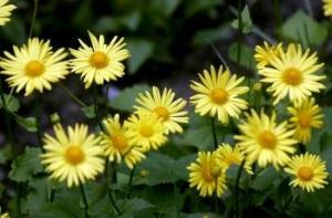 На следующей неделе погода будет переменчивой