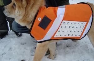 Продвинутых собак оденут в жилеты с мобильным телефоном