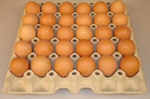 Спрос на куриные яйца вырос на 30%