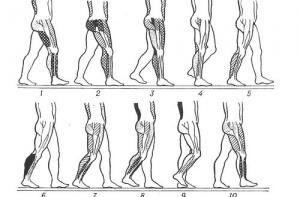 В Тулузе пешеходы сами освещают городские улицы