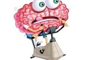 Развивающие компьютерные игры не повышают интеллект