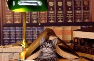 Чиновникам выделят по 10 квадратных метров