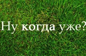 Вчера в Руцаве был установлен температурный рекорд