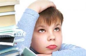 Директора школ: платное образование - тупость