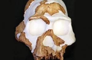 Древнейшими предками современного человека оказались карлики-каннибалы